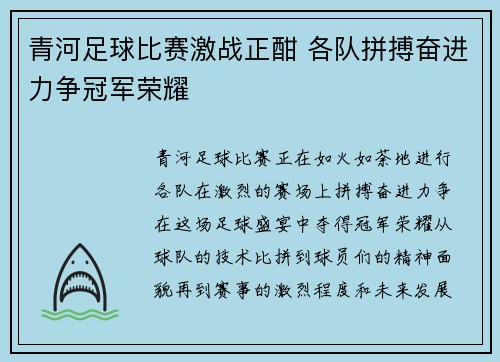 青河足球比赛激战正酣 各队拼搏奋进力争冠军荣耀